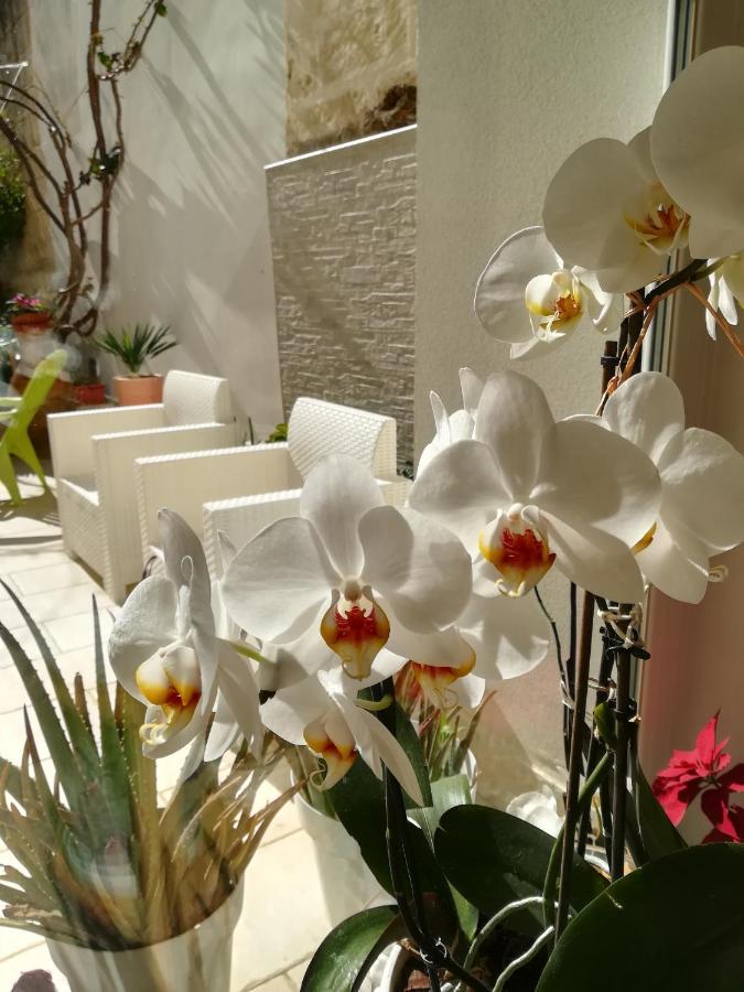 Meraki B&B Lecce Exterior photo